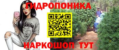 бошки Гусев