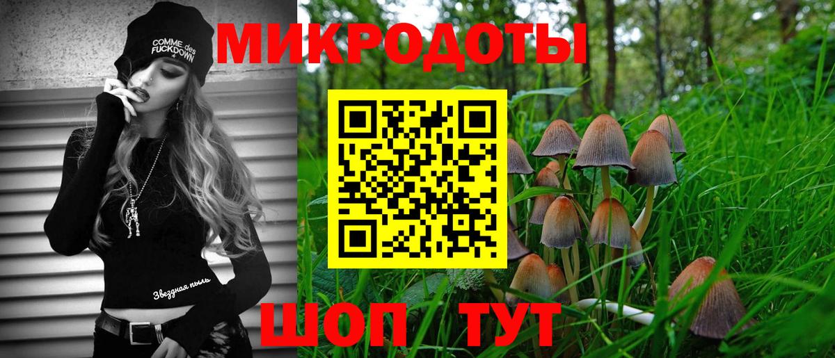 Галлюциногенные грибы GOLDEN TEACHER  Вход с VPN  Вичуга 