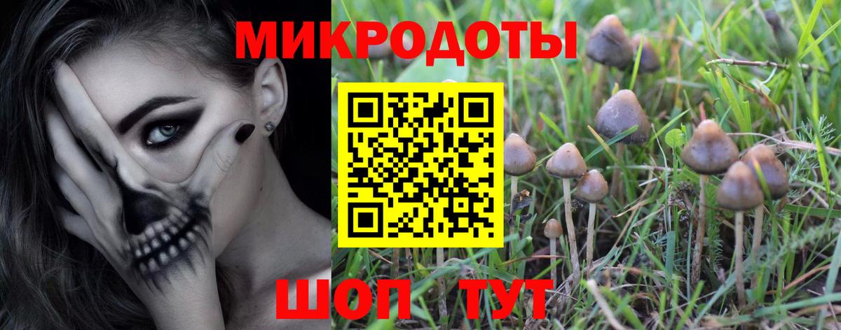 Галлюциногенные грибы Magic Shrooms Вичуга