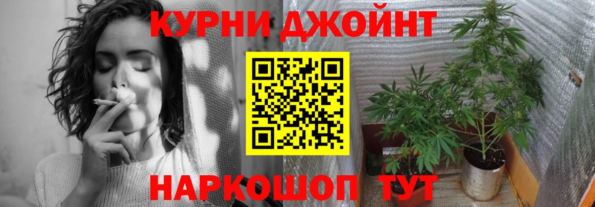 Вичуга  Шишки марихуана THC 21%  МАРИХУАНА Ganja  Шишки марихуана MAZAR  Вход с VPN 